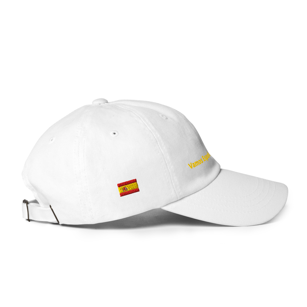 Spain World Cup II