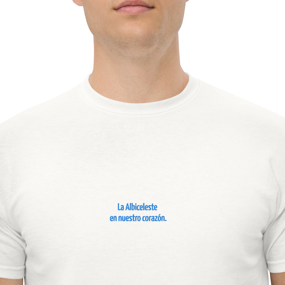 Argentina World Cup II