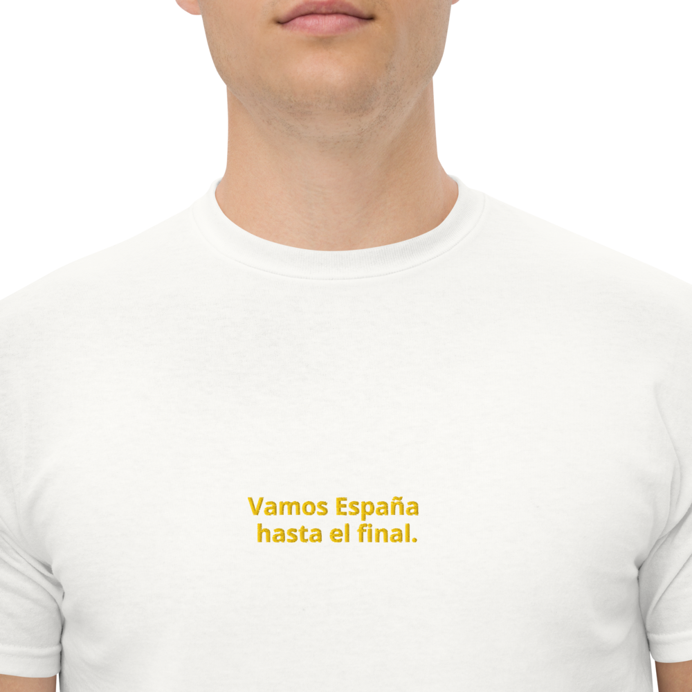 Spain World Cup II